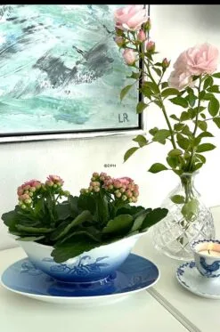 Sauce Bowl On Stand Christmas Rose Service Bing & Grondahl No. 308 Or 563 11 Sauce Bowl On Stand Christmas Rose Service Bing & Grondahl No. 308 Or 563 -Fiesta Shop 1435563 c