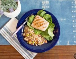 Fiesta Dinner Plate -Fiesta Shop Cobalt Dinner Salmon