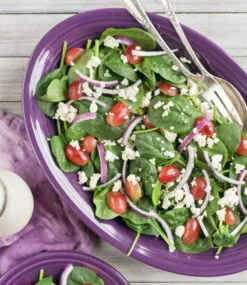 Fiesta Large Oval Platter -Fiesta Shop MedPlatterWEB2