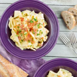 Fiesta Rim Soup Bowl -Fiesta Shop RimWEB