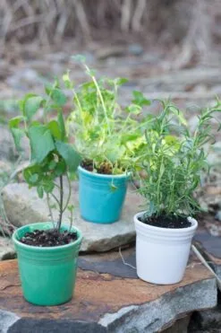 Fiesta Flower Pot Set 8 Fiesta Flower Pot Set -Fiesta Shop fiesta dinnerware flower pots meadow turquoise white 5